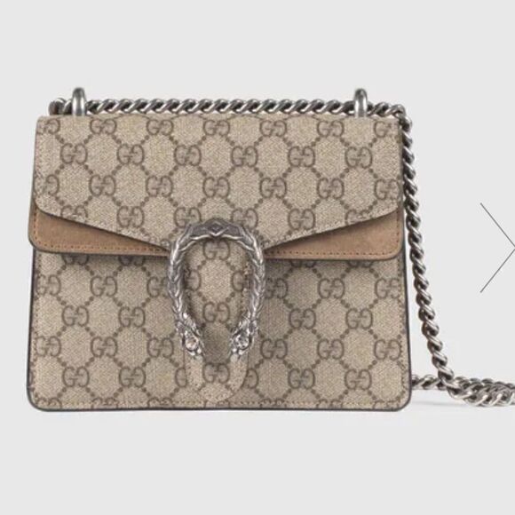 Dionysus GG Supreme mini bag - Picture 1 of 9